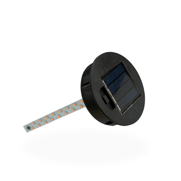 Solar Lantern Replacement Light Module